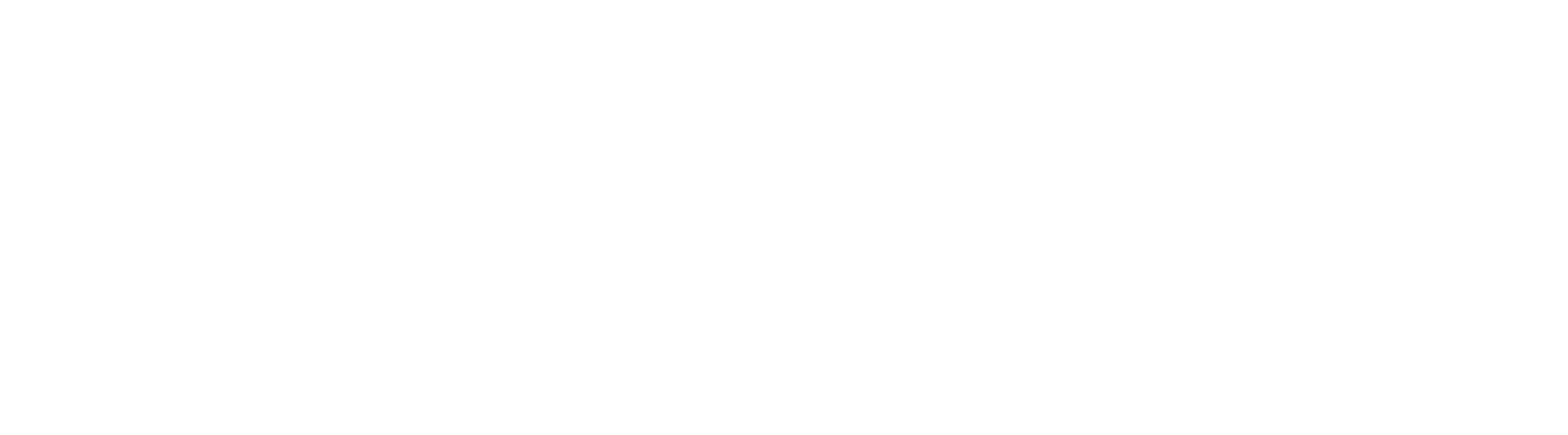 ZumpNet